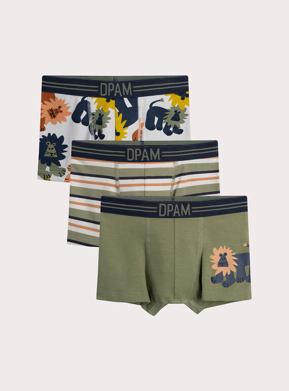 Lot de 3 boxers lion pour enfant garçon XEGOBOX1 / 25WH1247BOX612