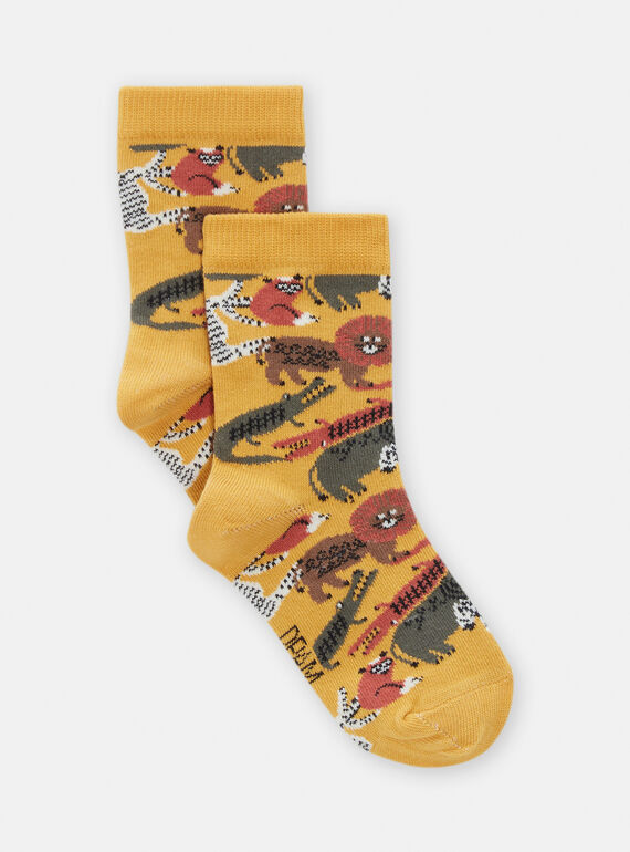 Chaussettes Jaune  TYOJOCHO3 / 24SI028ASOQB106