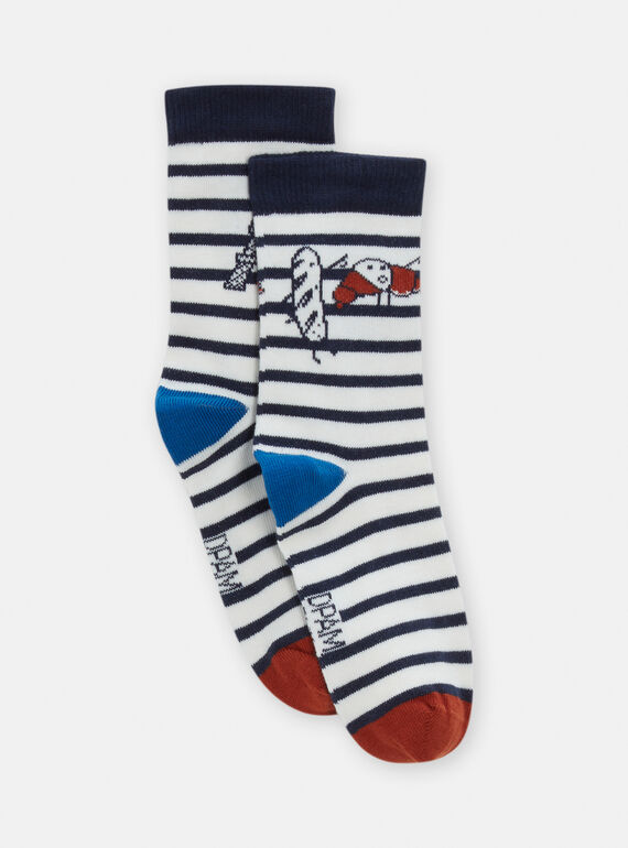 Chaussettes à rayures bleues pour garçon TYOPACHO / 24SI0221SOQ001