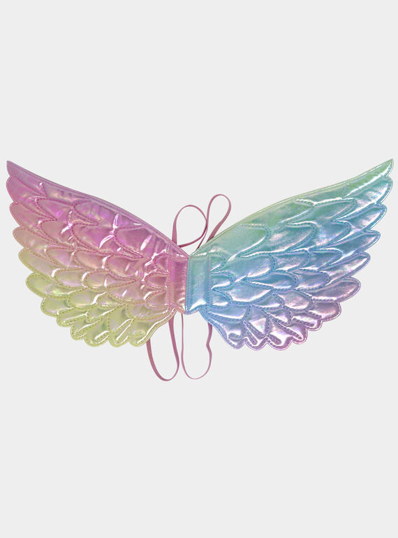 Ailes de fée irisées DPAFA0009 / 22R8GF51DGM099