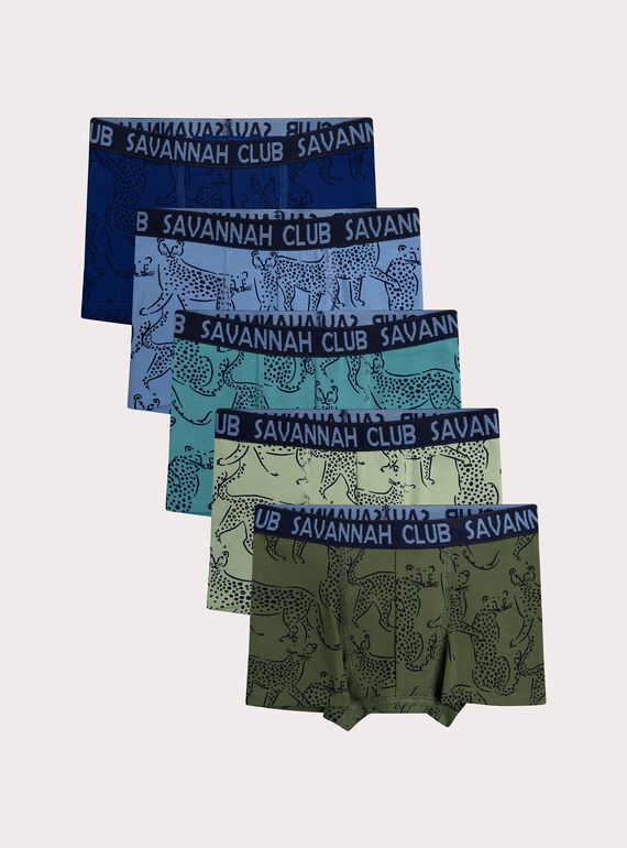 Lot de 5 boxers léopard pour enfant garçon XEGOBOXSEM3 / 25WH1243BOXC202