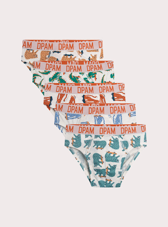 Lot de 5 slips animaux pour enfant garçon XEGOSLISEM / 25WH1249BOX001