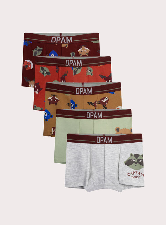 Lot de 5 boxers animaux pour enfant garçon XEGOBOXSEM2 / 25WH1248BOX503