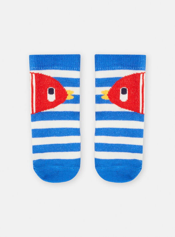 Chaussettes Bleu marine TYUCLUCHO / 24SI10C3SOQC212